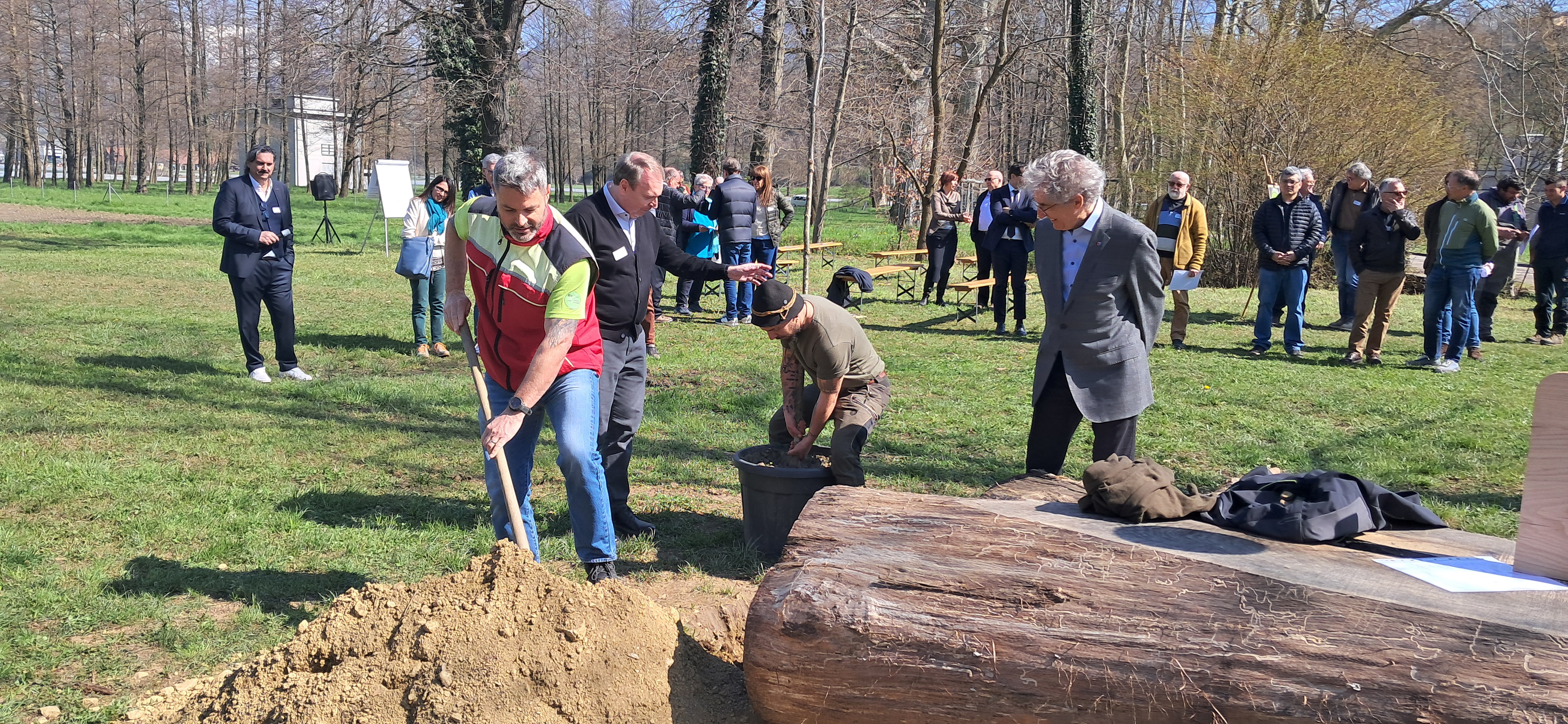 Messa a dimora della giovane quercia — L'Albero della vita